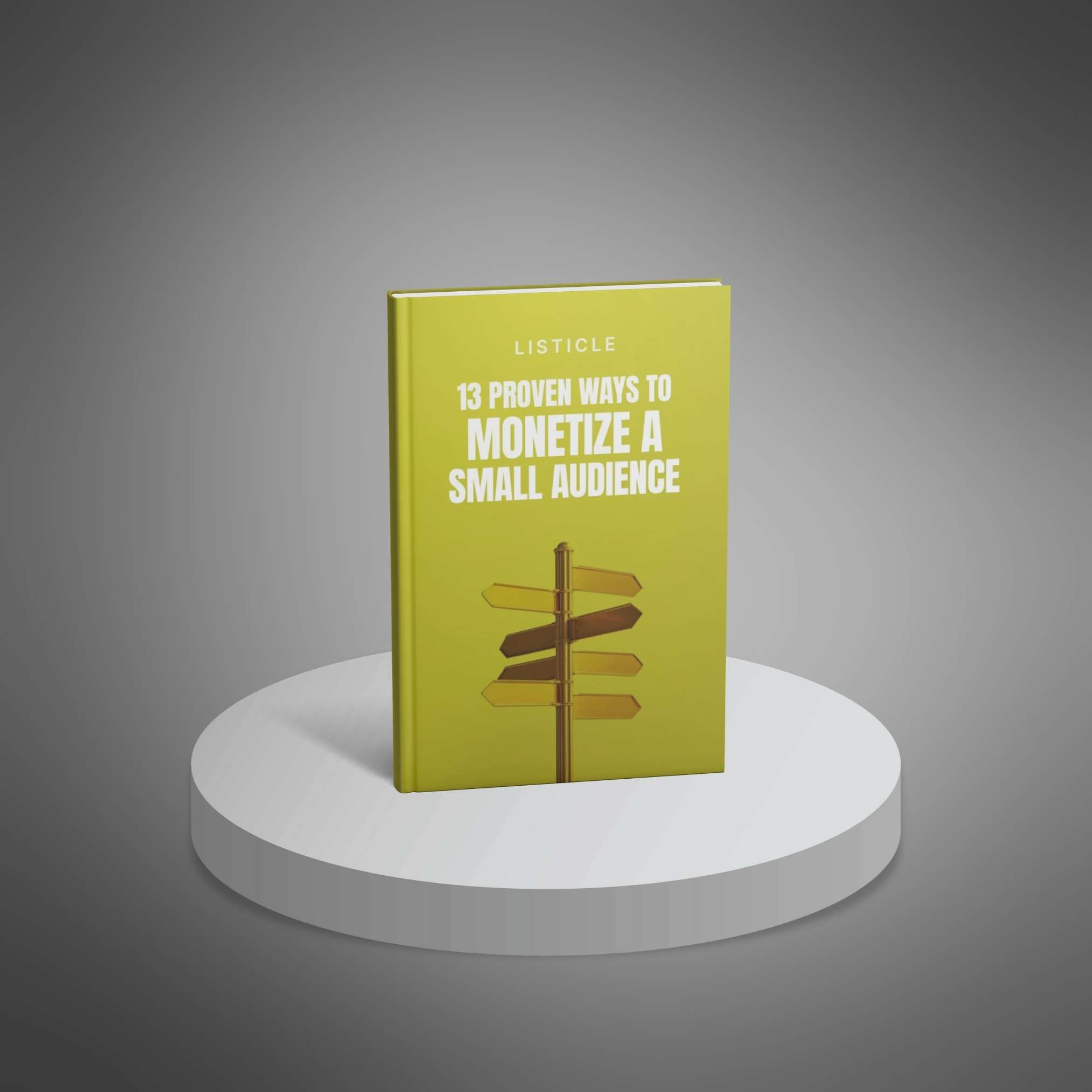 13 Proven Ways to Monetize a Small Audience preview 1
