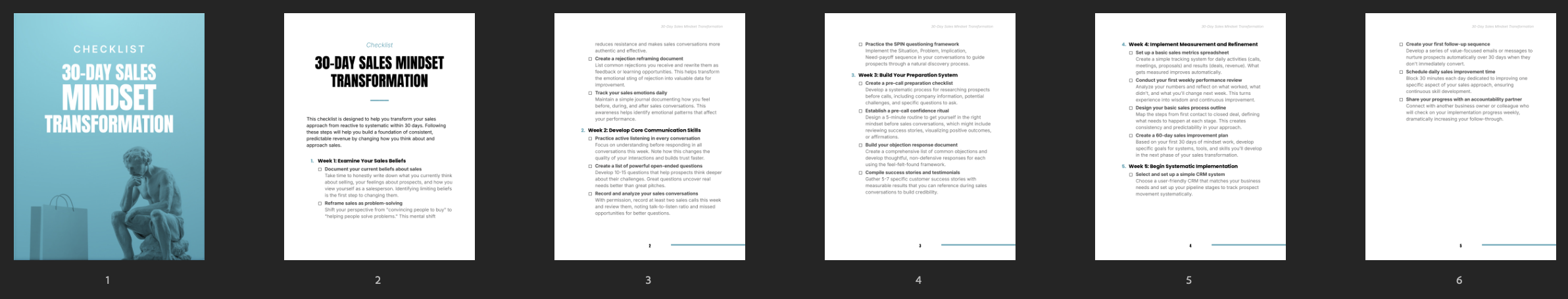 30-Day Sales Mindset Transformation preview