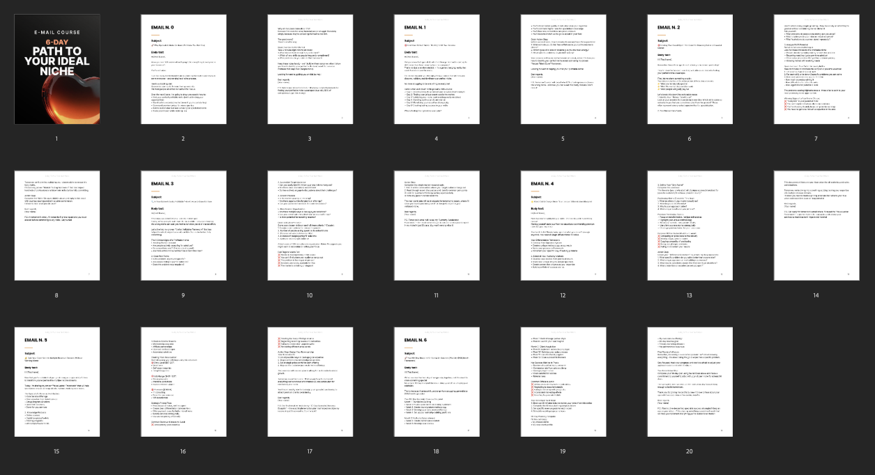 6-Day Path to Your Ideal Niche preview