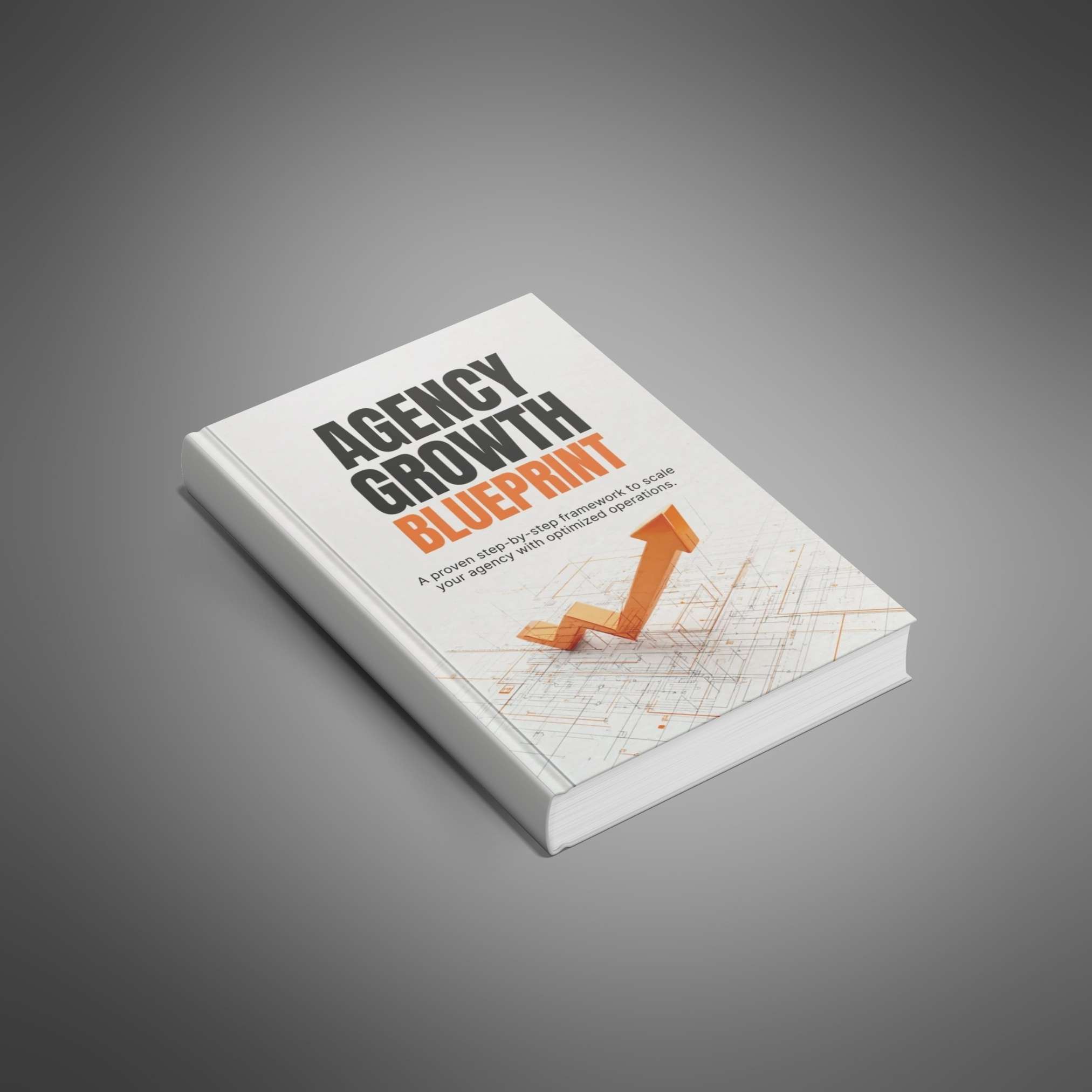 Agency Growth Blueprint preview 1