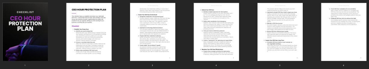 CEO Hour Protection Plan preview