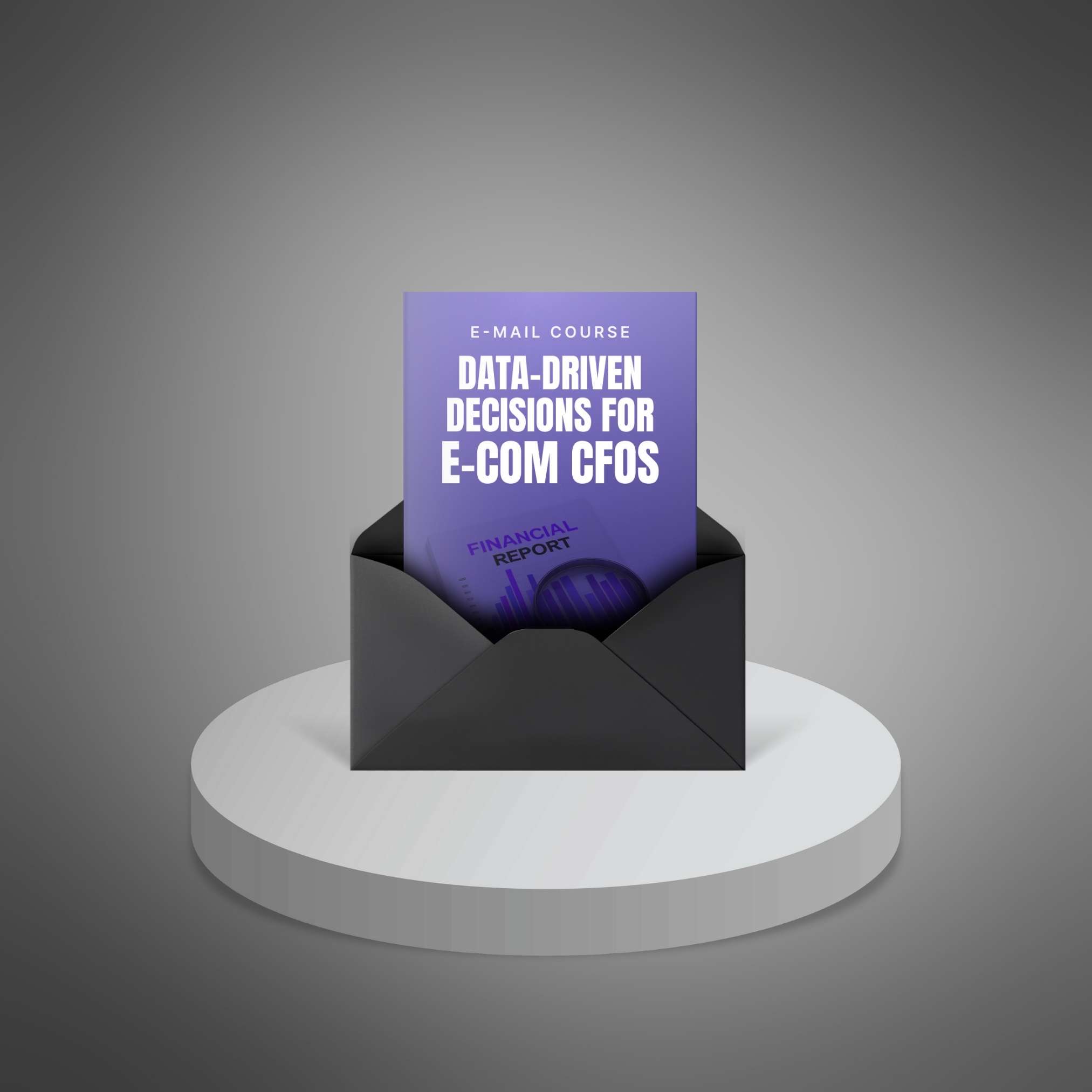 Data-Driven Decisions for E-Commerce CFOs preview 1