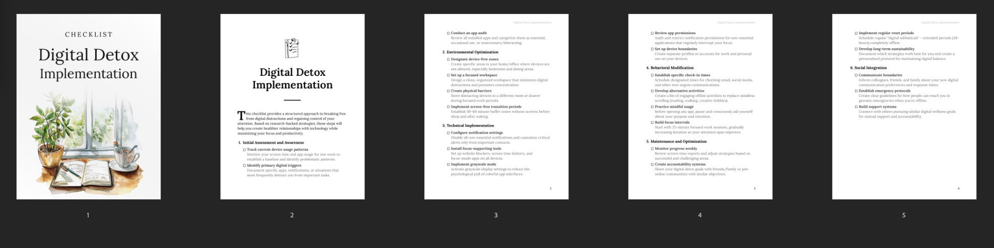 Digital Detox Implementation preview