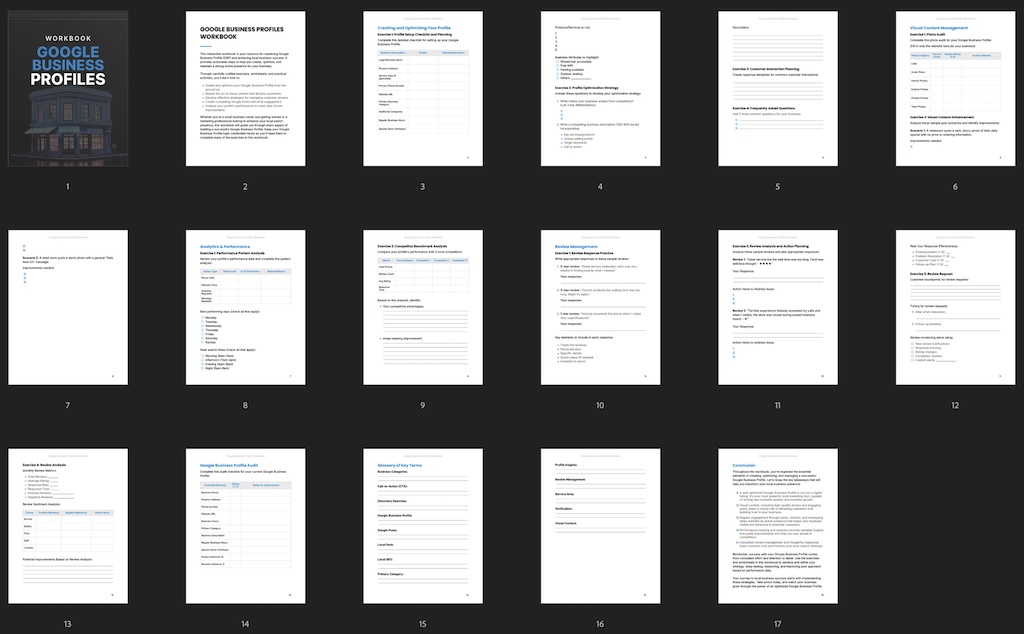 Google Business Profiles - Workbook preview