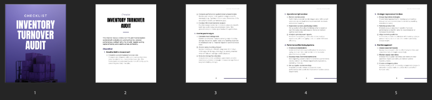Inventory Turnover Audit preview