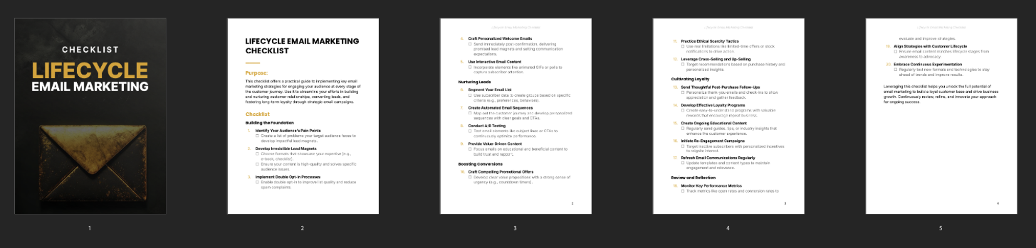 Lifecycle Email Marketing - Checklist preview