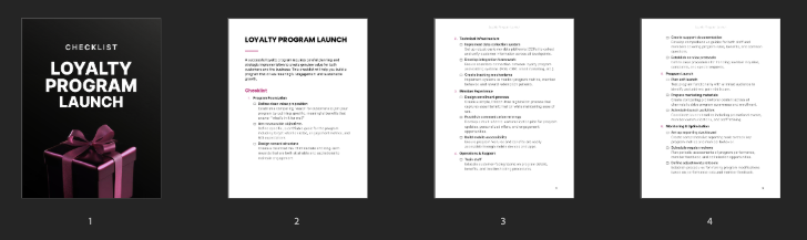 Loyalty Program Launch preview