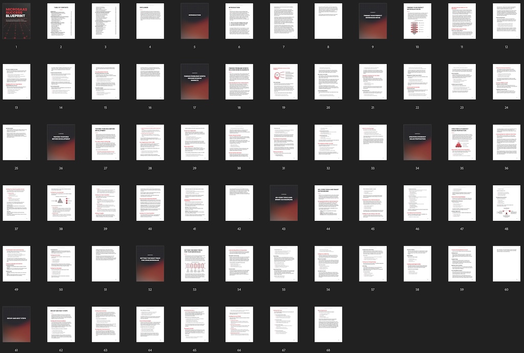 MicroSaaS Success Blueprint - Ebook preview