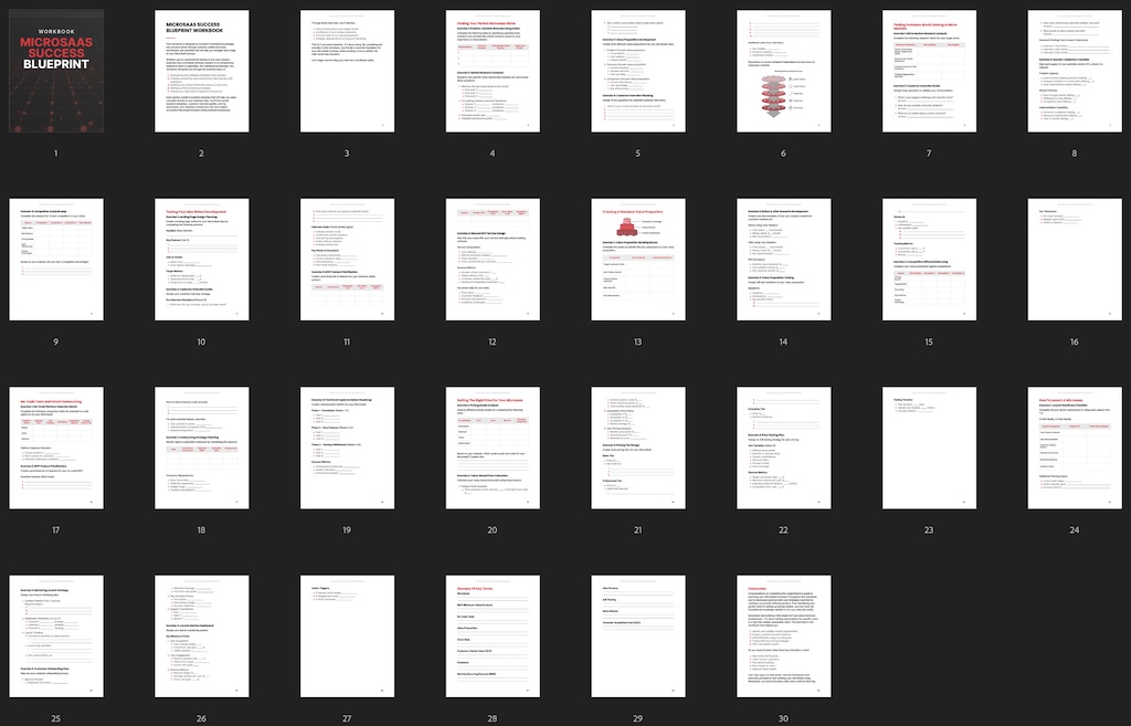 MicroSaaS Success Blueprint - Workbook preview