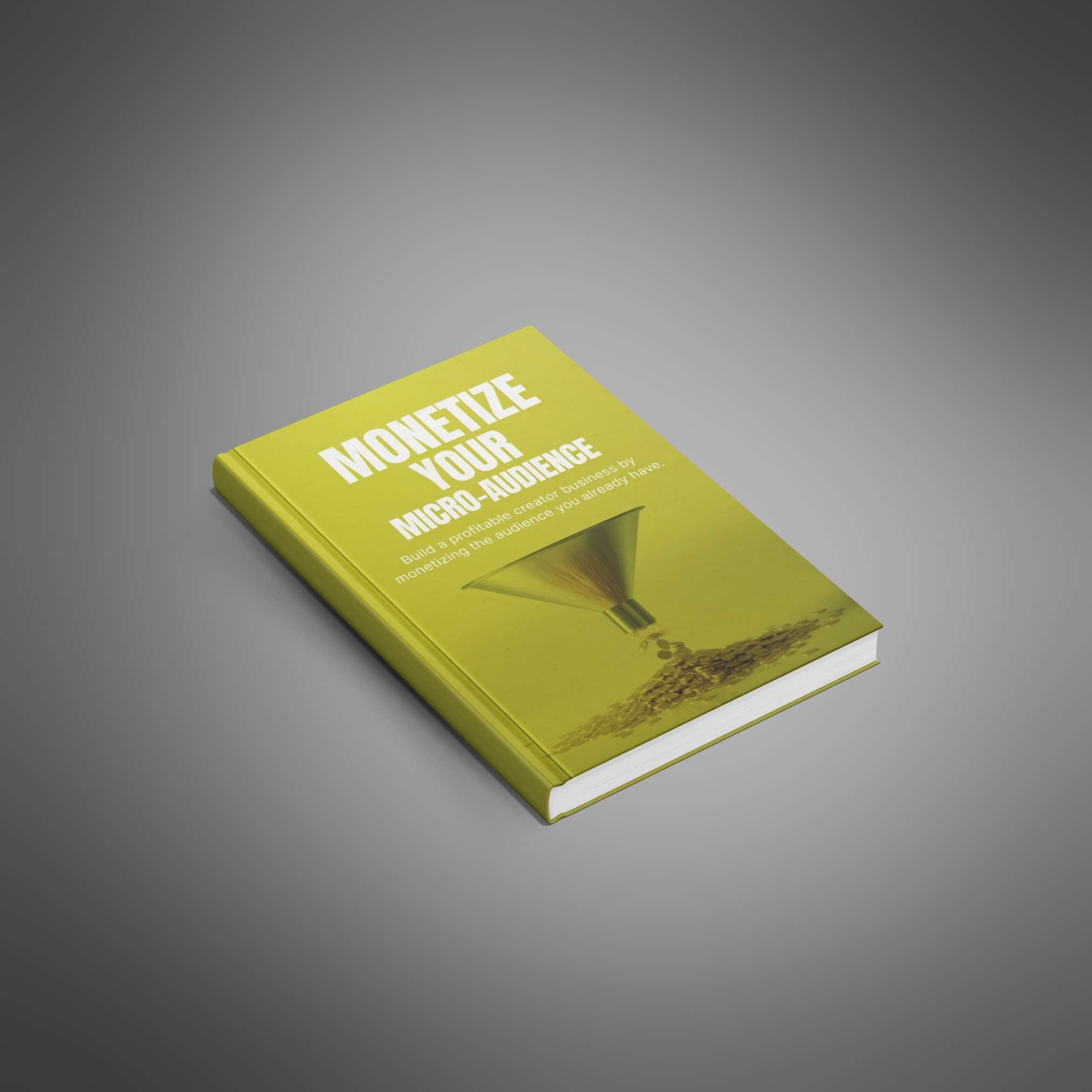 Monetize Your Micro-Audience preview 1