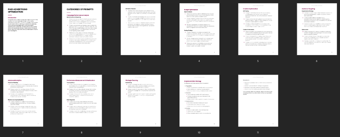 Paid Advertising Optimization preview