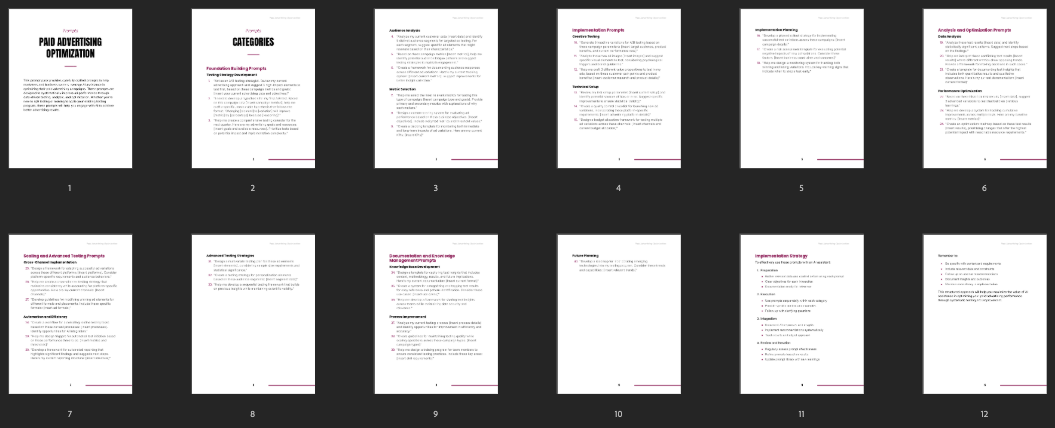 Paid Advertising Optimization preview