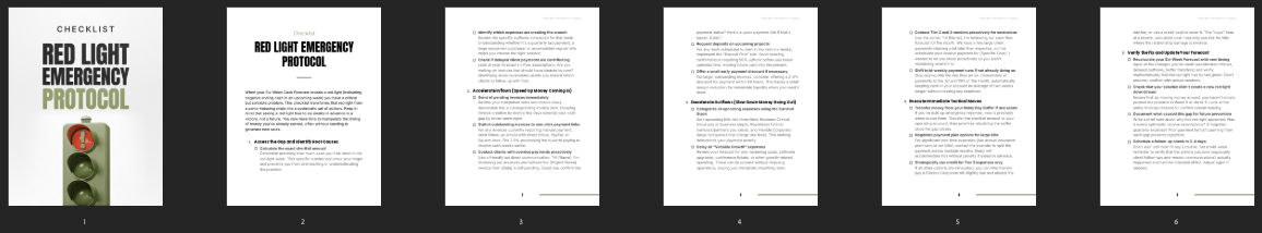 Red Light Emergency Protocol preview