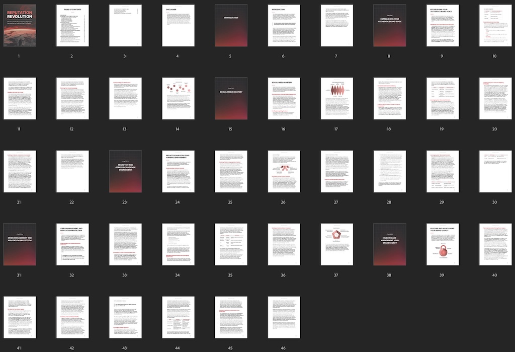 Reputation Revolution - Ebook preview