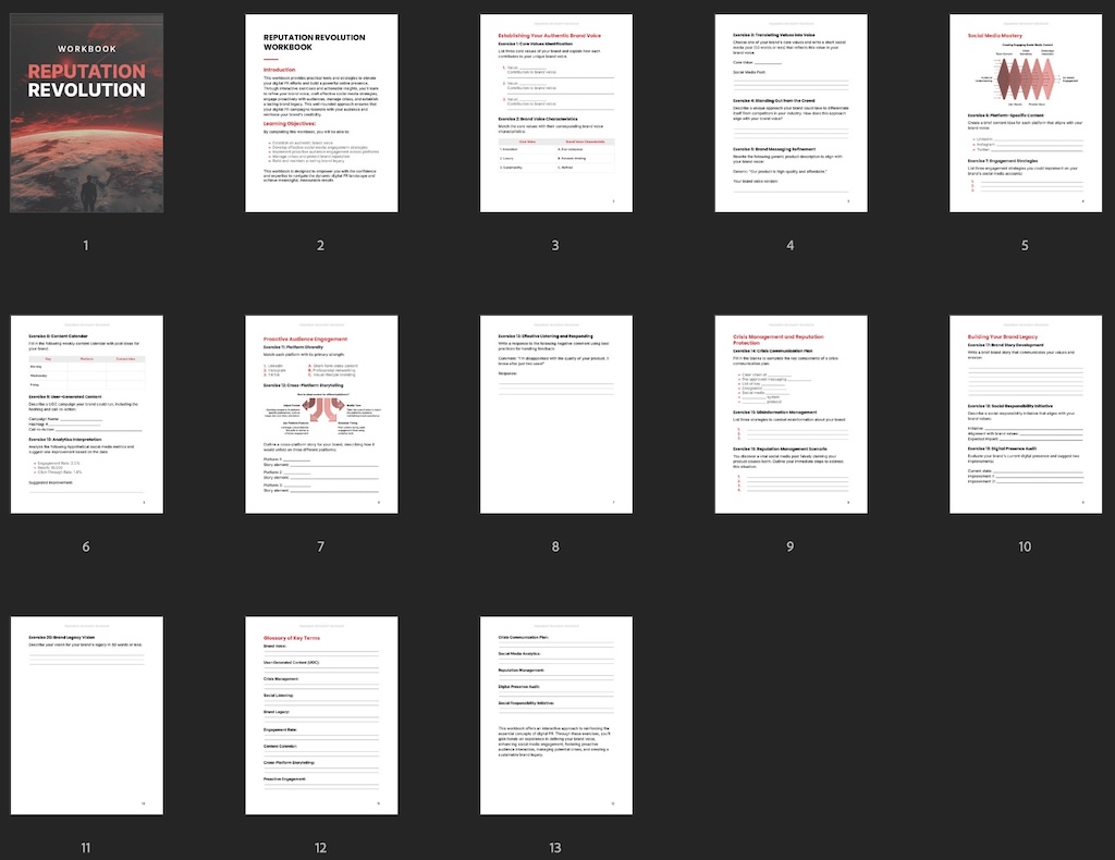 Reputation Revolution - Worbook preview