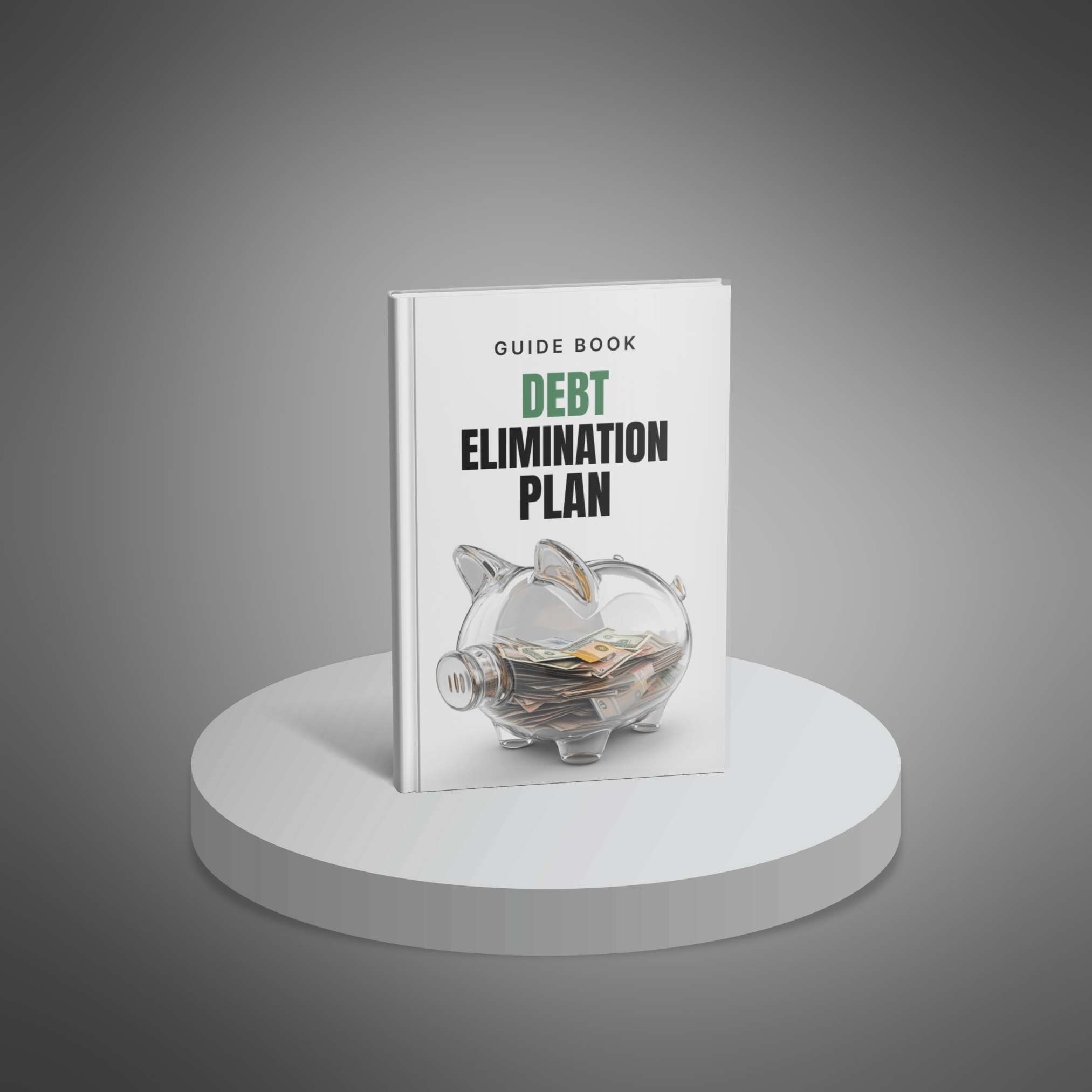 The 90-Day Debt Elimination Plan preview 1