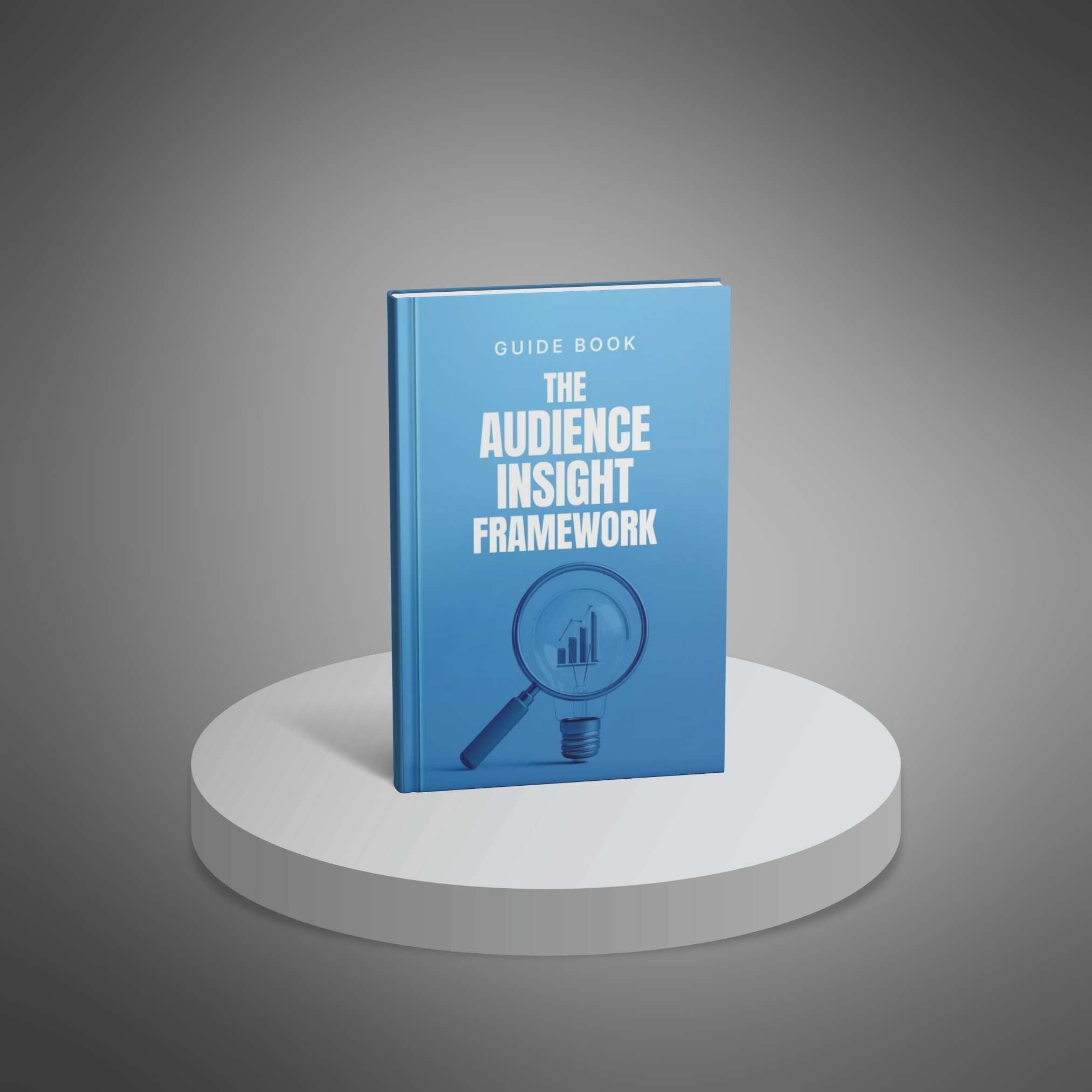 The Audience Insight Framework preview 1