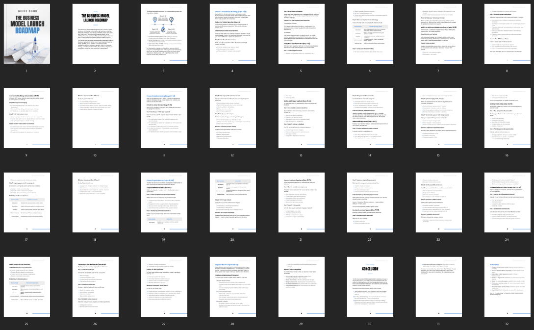 The Business Model Launch Roadmap preview