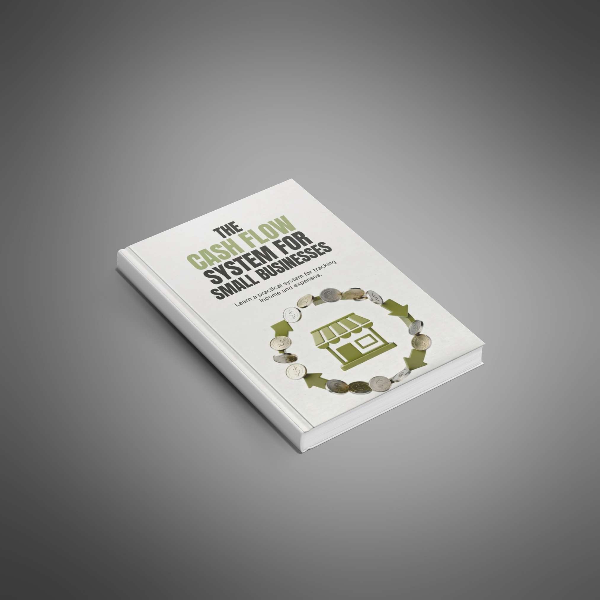 The Cash Flow System for Small Businesses preview 1