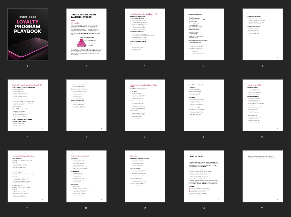 The Loyalty Program Launch Playbook preview