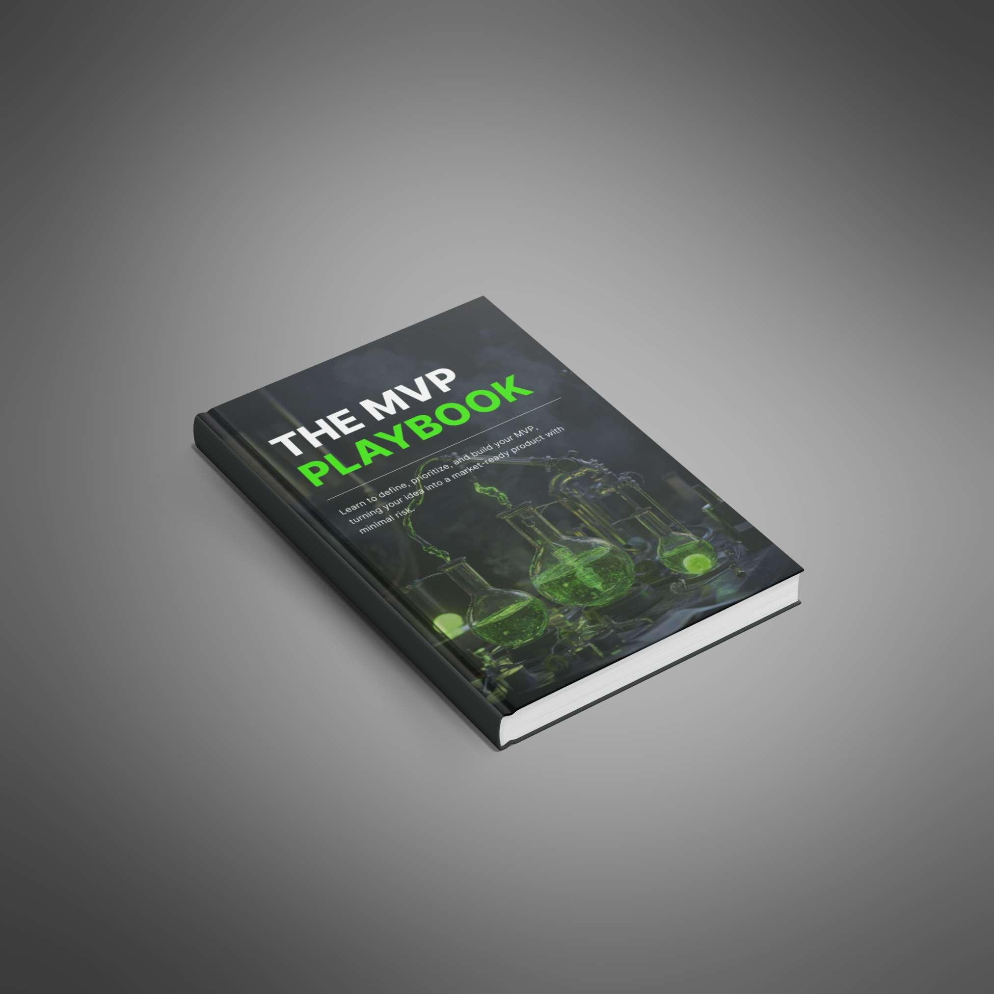 The MVP Playbook - Ebook preview 1