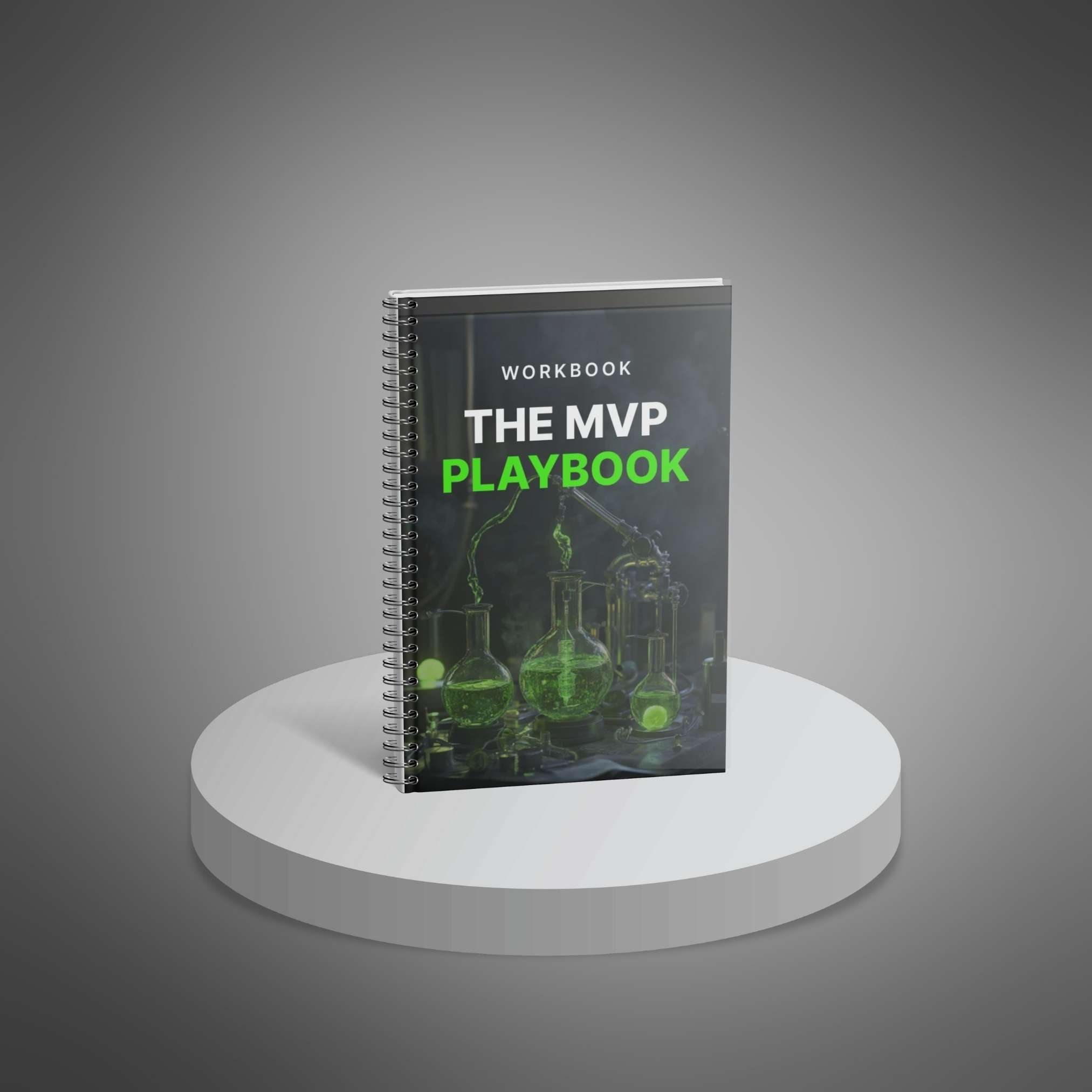 The MVP Playbook - Workbook preview 1