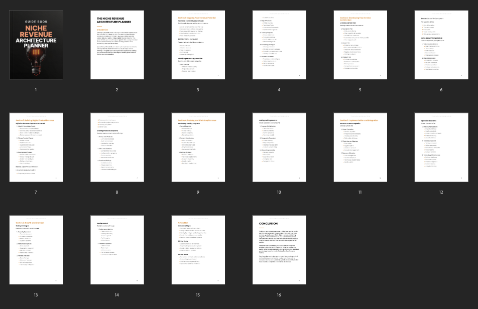 The Niche Revenue Architecture Planner preview