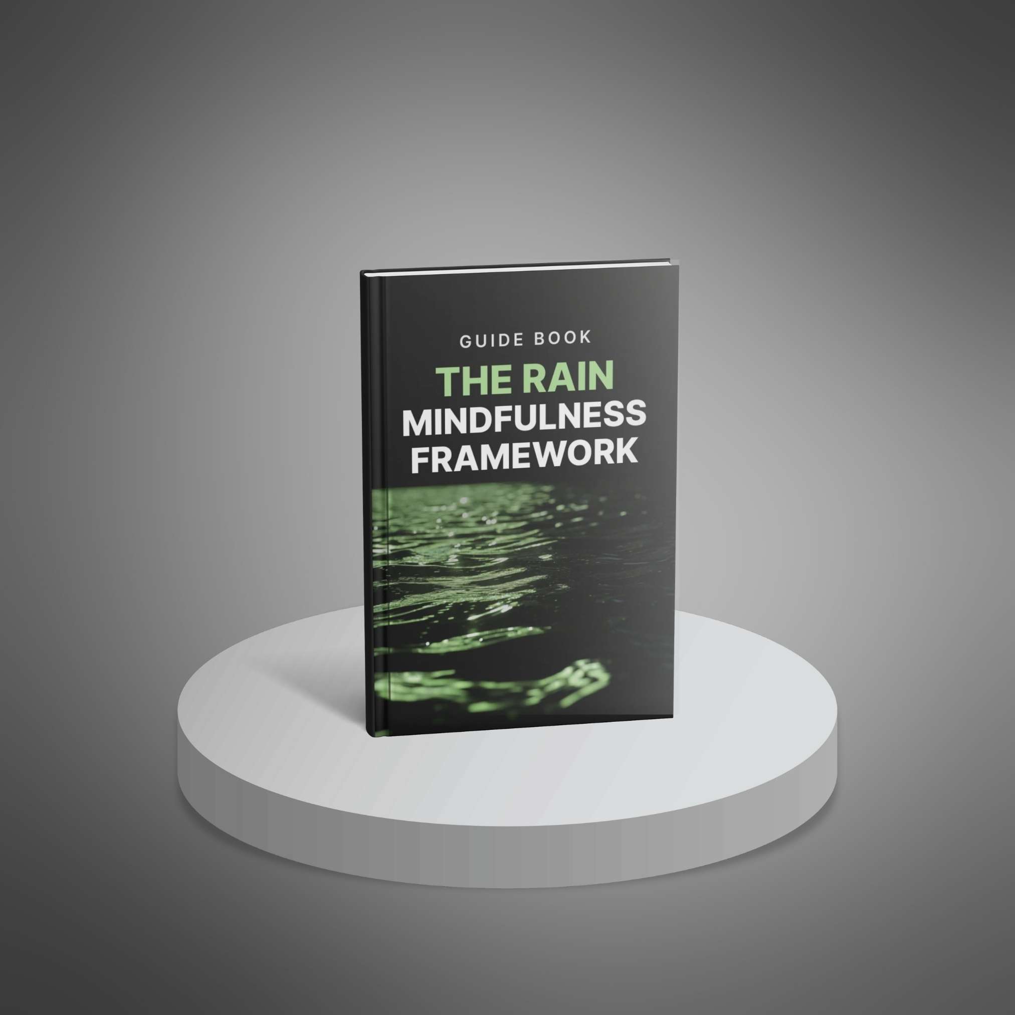 The RAIN Mindfulness Framework preview 1