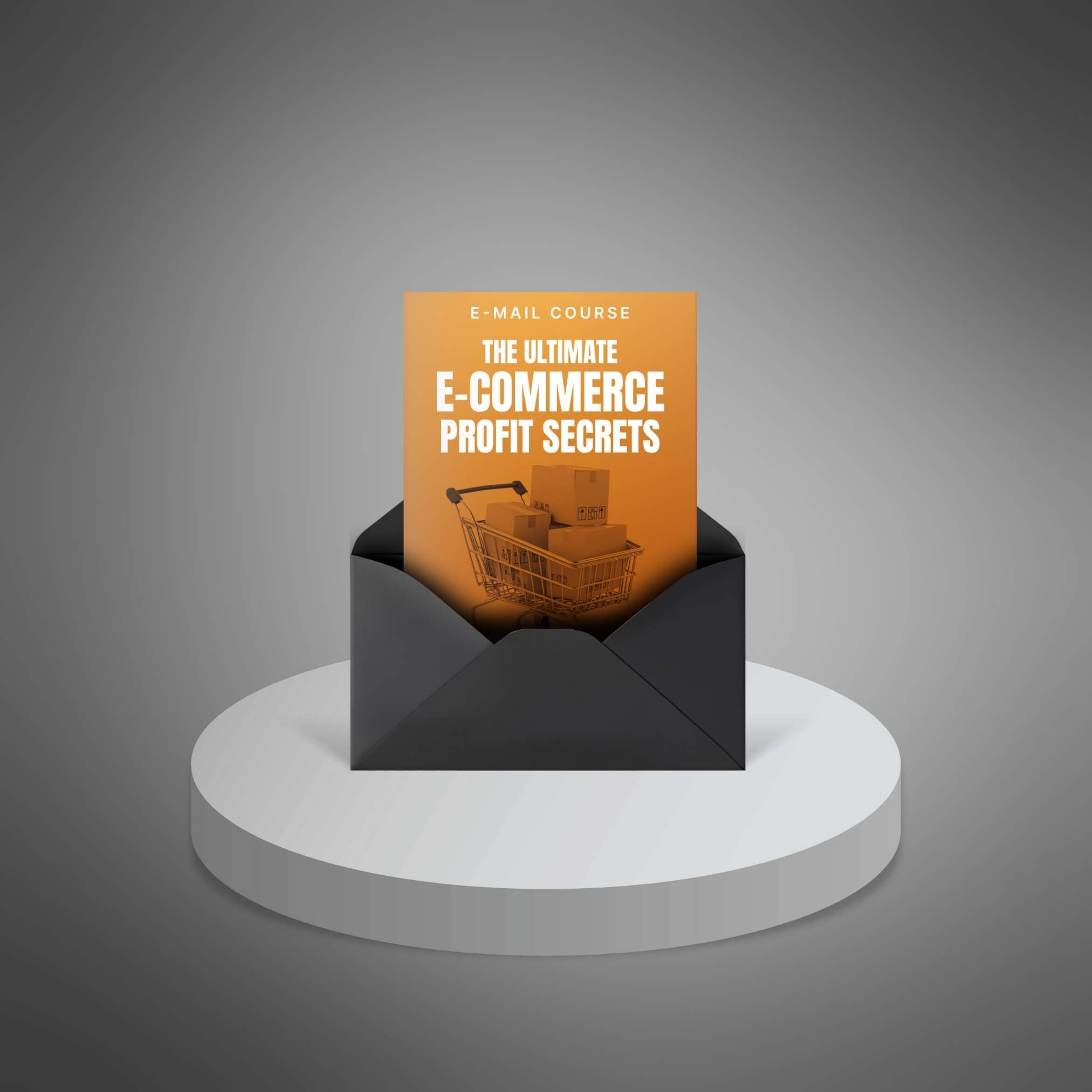 The Ultimate E-Commerce Profit Secrets preview 1