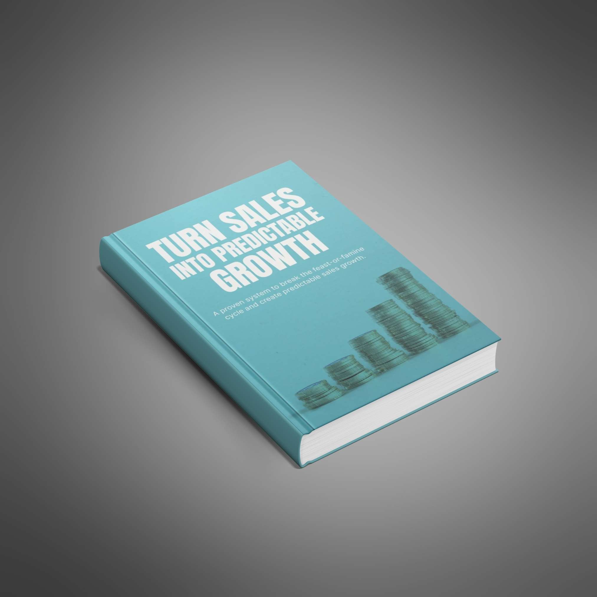 Turn Sales Into Predictable Growth preview 1